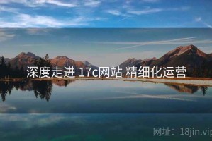 深度走进 17c网站 精细化运营
