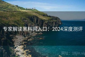 专家解读黑料网入口：2024深度测评