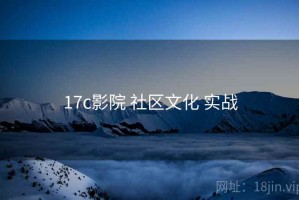 17c影院 社区文化 实战