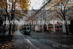 p站视频pzpp行业点评：深度分析报告