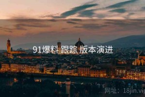 91爆料 跟踪 版本演进