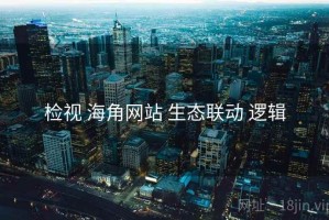 检视 海角网站 生态联动 逻辑