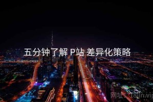 五分钟了解 P站 差异化策略