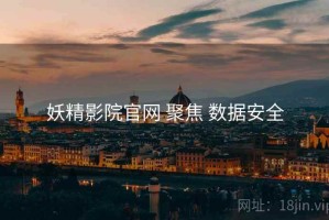 妖精影院官网 聚焦 数据安全