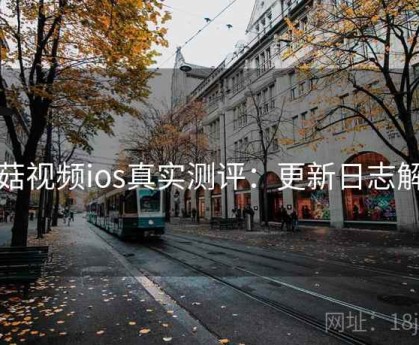 蘑菇视频ios真实测评：更新日志解读