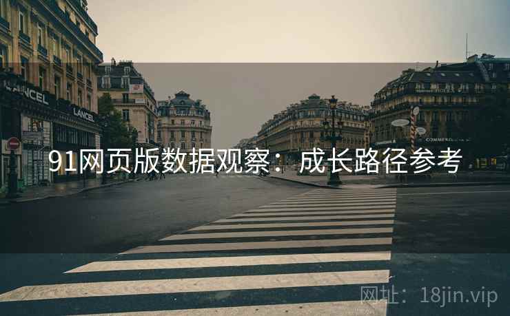 91网页版数据观察：成长路径参考