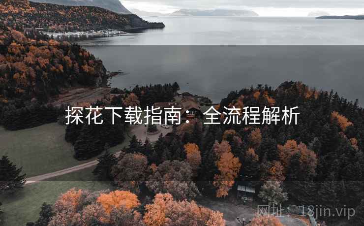 探花下载指南：全流程解析