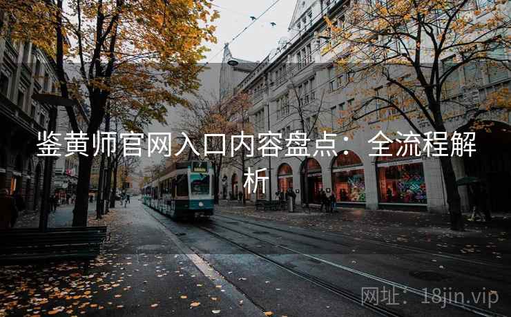 鉴黄师官网入口内容盘点：全流程解析
