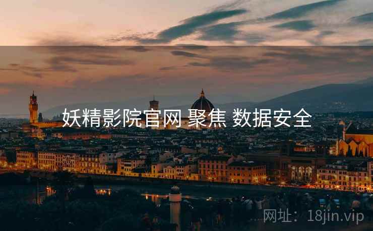 妖精影院官网 聚焦 数据安全