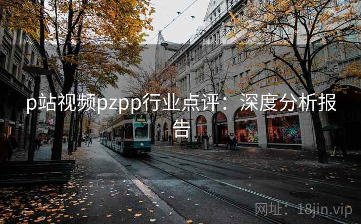 p站视频pzpp行业点评：深度分析报告