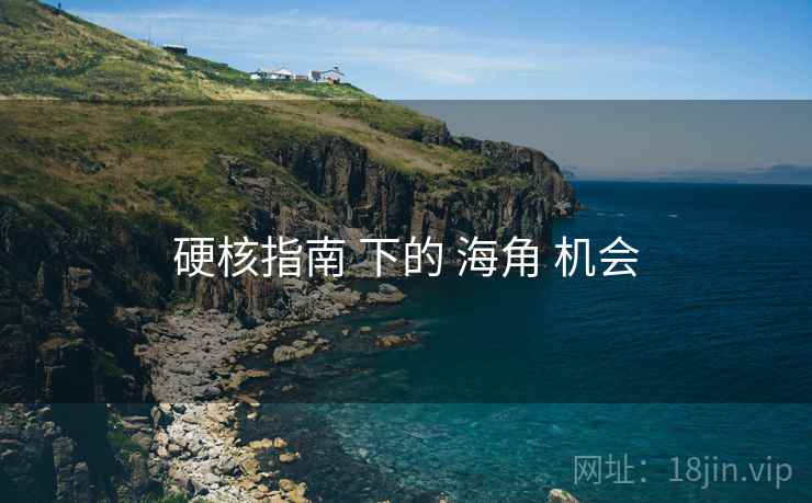 硬核指南 下的 海角 机会