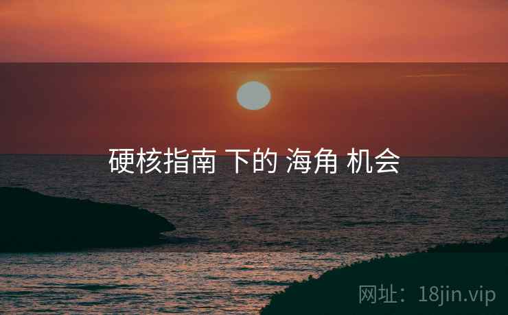 硬核指南 下的 海角 机会