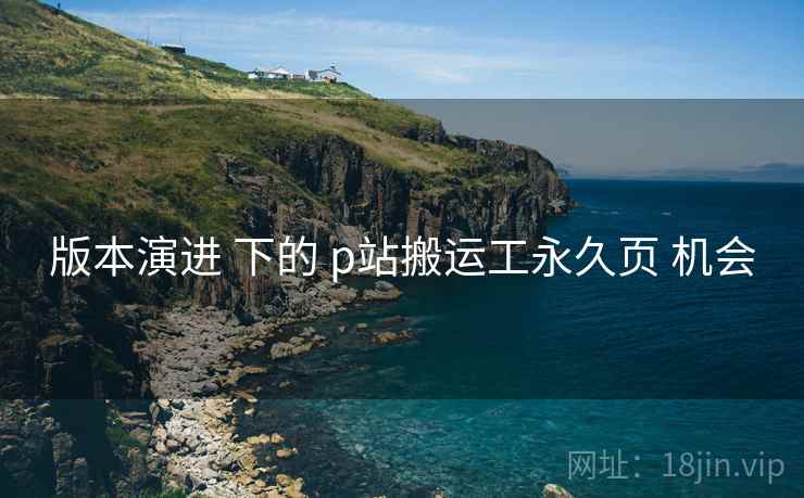 版本演进 下的 p站搬运工永久页 机会