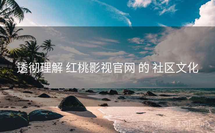 透彻理解 红桃影视官网 的 社区文化