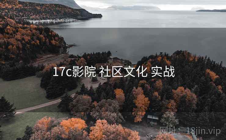 17c影院 社区文化 实战