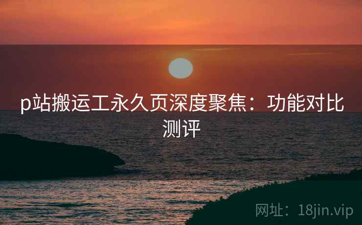 p站搬运工永久页深度聚焦：功能对比测评