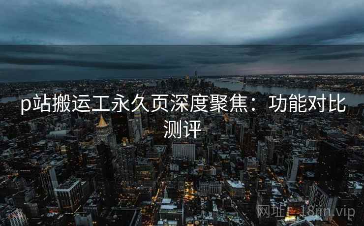 p站搬运工永久页深度聚焦：功能对比测评