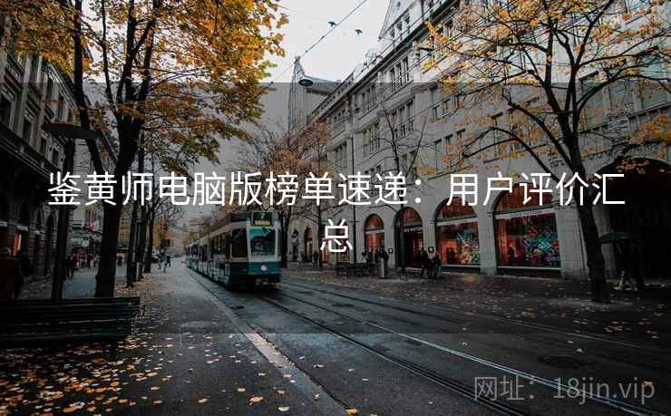 鉴黄师电脑版榜单速递：用户评价汇总