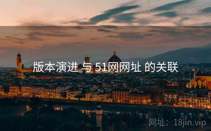 版本演进 与 51网网址 的关联