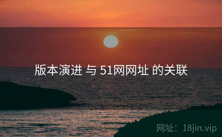 版本演进 与 51网网址 的关联