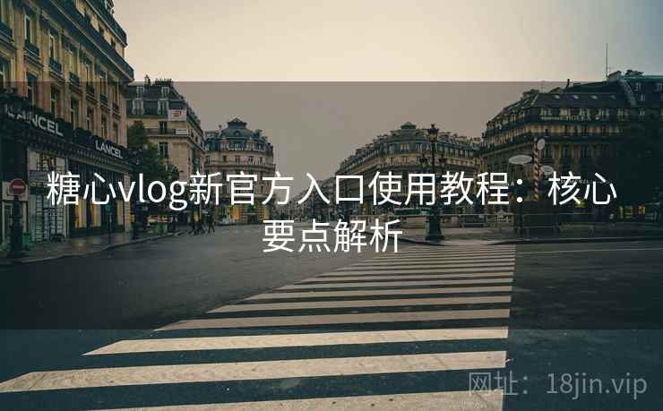 糖心vlog新官方入口使用教程：核心要点解析