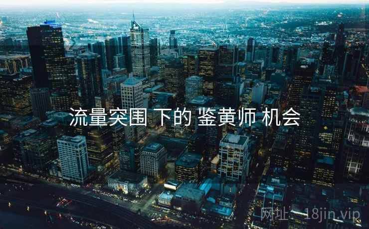 流量突围 下的 鉴黄师 机会