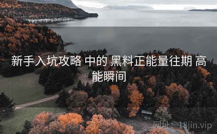 新手入坑攻略 中的 黑料正能量往期 高能瞬间
