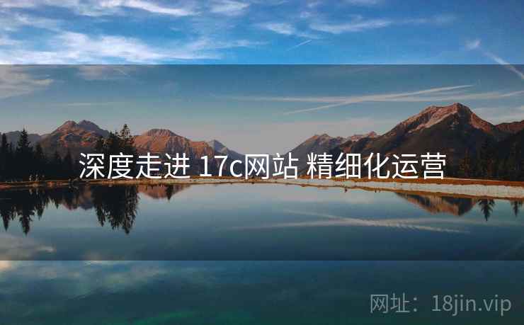 深度走进 17c网站 精细化运营