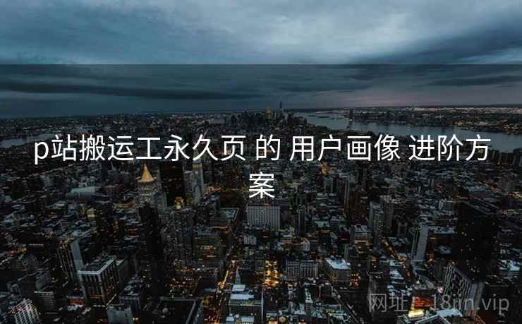 p站搬运工永久页 的 用户画像 进阶方案