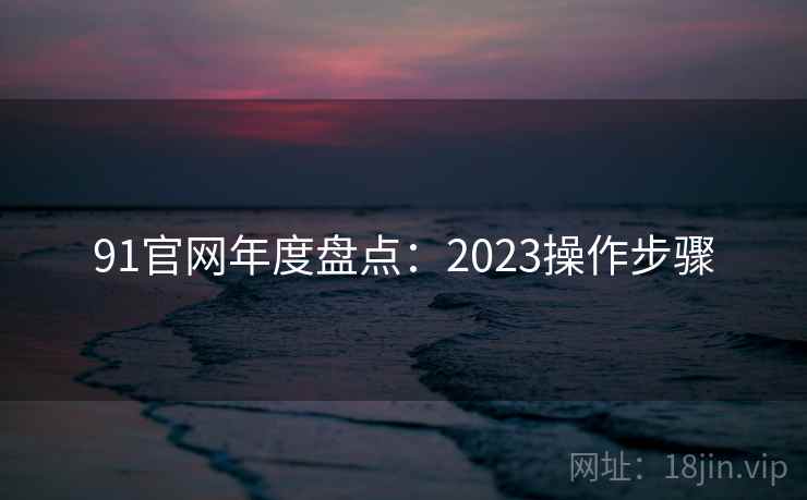 91官网年度盘点：2023操作步骤