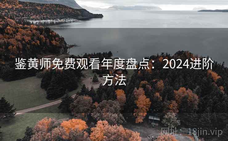 鉴黄师免费观看年度盘点：2024进阶方法