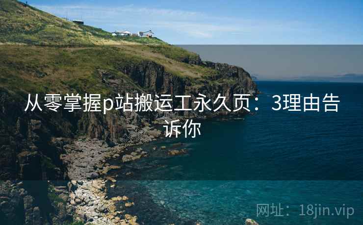 从零掌握p站搬运工永久页：3理由告诉你