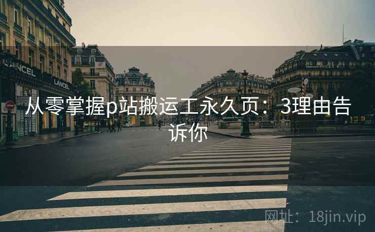 从零掌握p站搬运工永久页：3理由告诉你